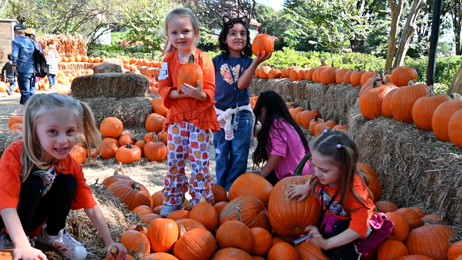 Students in pumpkin patch