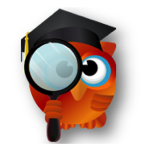 Focus Owl Icon